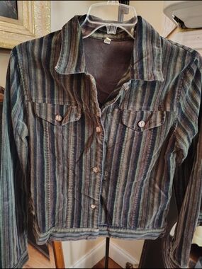 Striped Button-Front Jean Jacket in Green & Brown B T 2